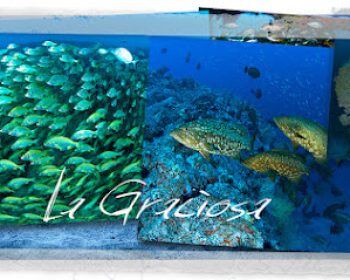 buceo-la-graciosa-divers