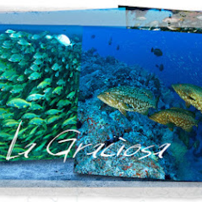 buceo-la-graciosa-divers