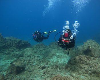 DCIM100GOPROGOPR5449.JPG